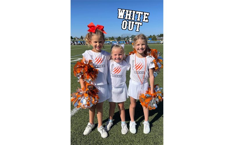 Cheer like a Boss! Join the Mountain Lions Cheer Teams
