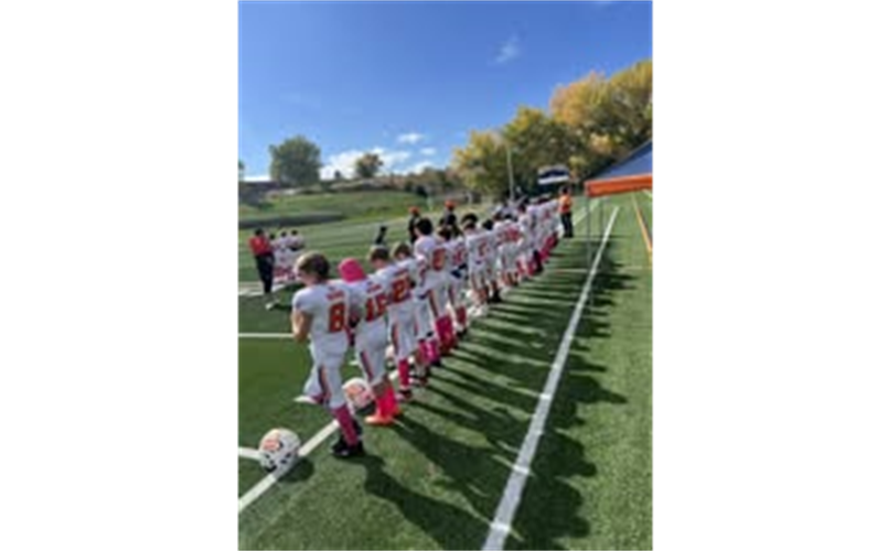 Pink for Breast Cancer Awareness