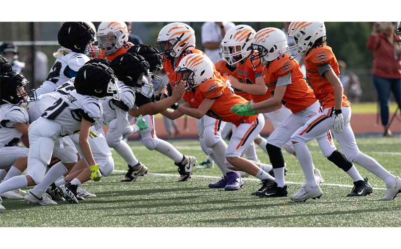 Our Youngest D LINE